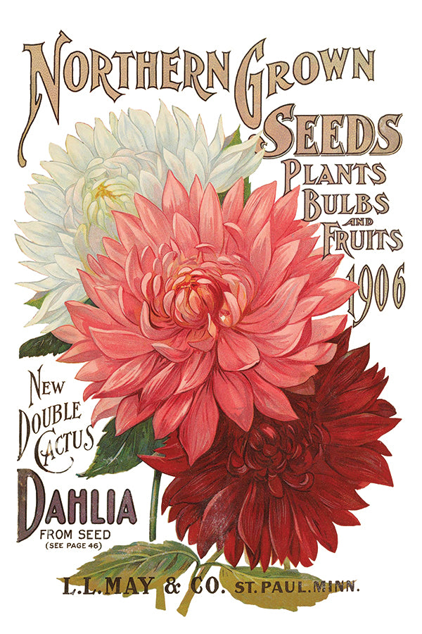 Seed Catalogue