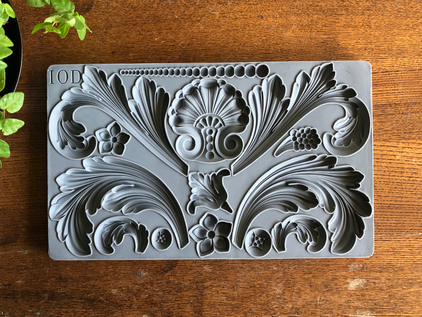 Acanthus Scroll