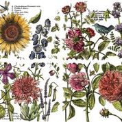 Botanist's Journal NEW FORMAT!