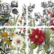 Midnight Garden    NEW FORMAT!