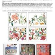 Wander    NEW FORMAT!