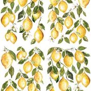 Lemon Drops   NEW FORMAT!